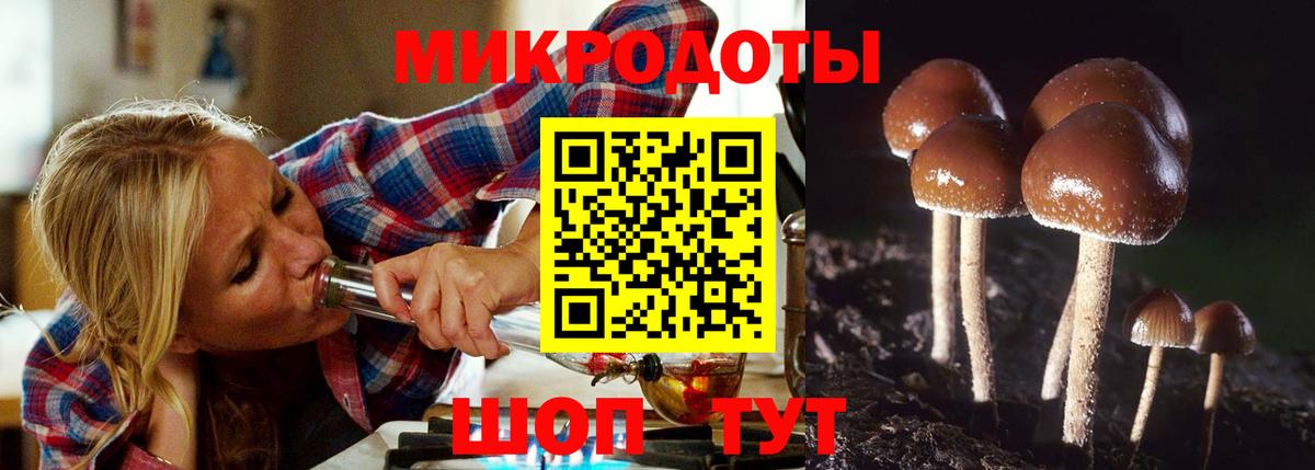 Псилоцибиновые грибы мухоморы  Вход с VPN  Протвино 